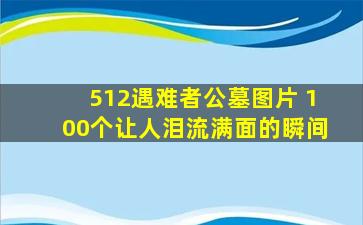 512遇难者公墓图片 100个让人泪流满面的瞬间